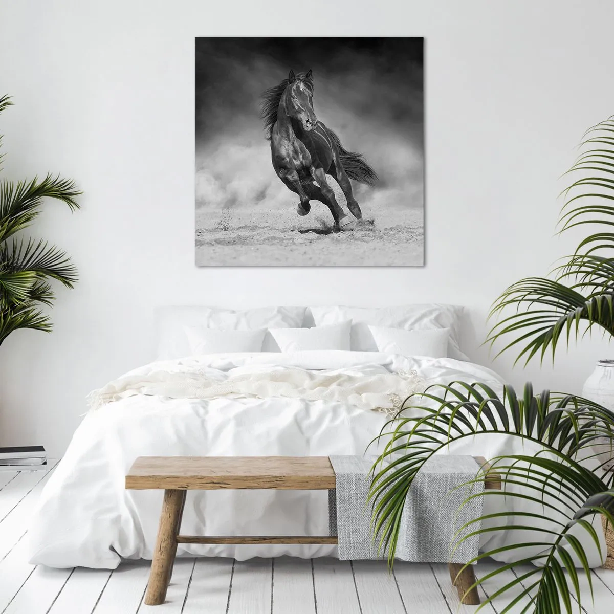 Obraz na plátne - Hodné samotného emira - 50x50 cm