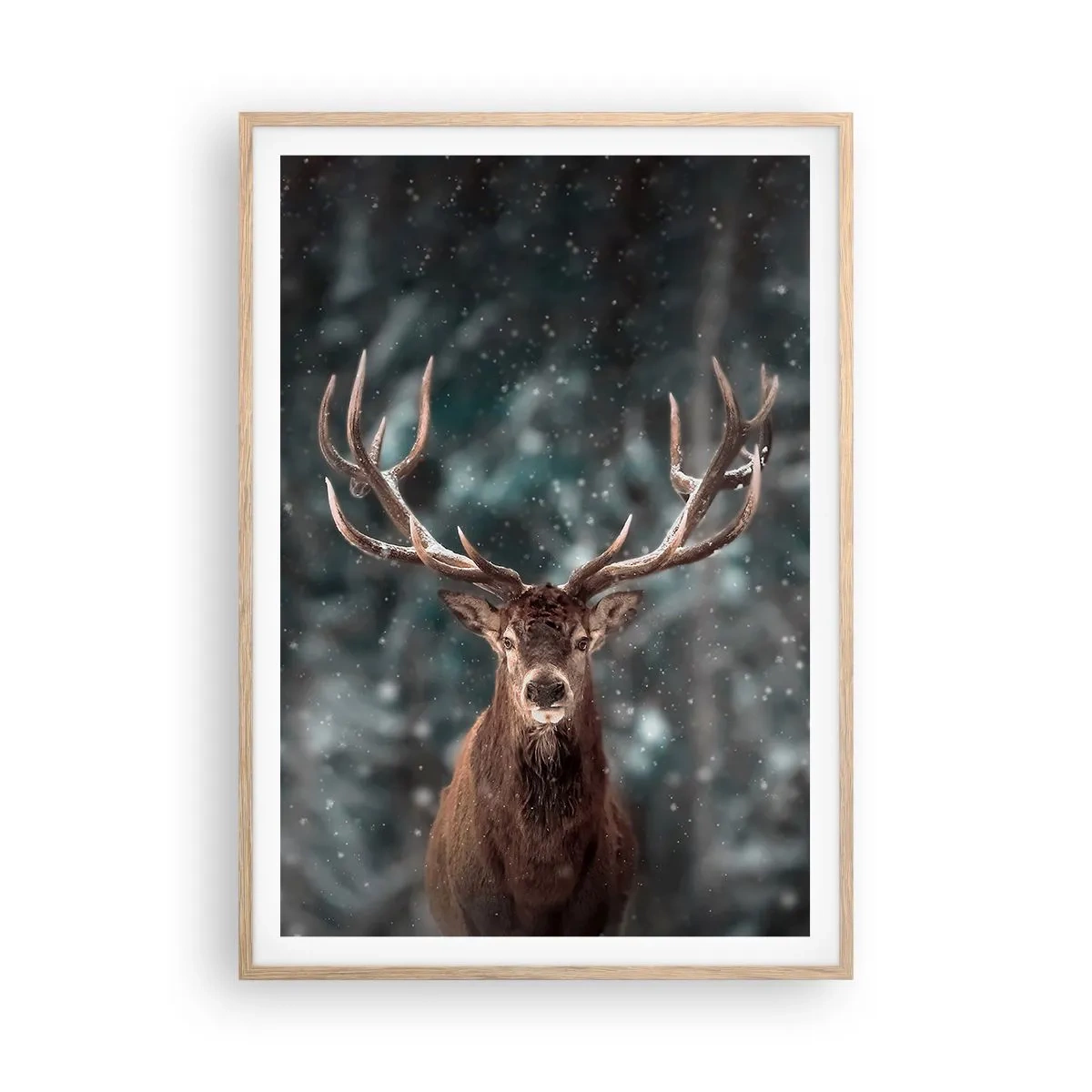 Plagát v ráme zo svetlého duba - Skutočný kráľ lesa - 70x100 cm