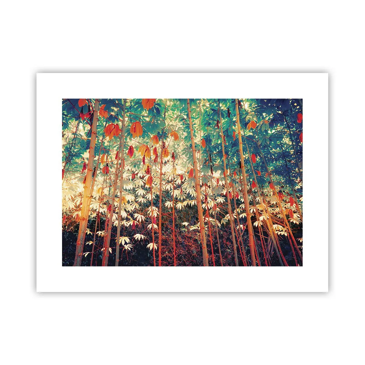 Plagát - Tajný život listov - 40x30 cm