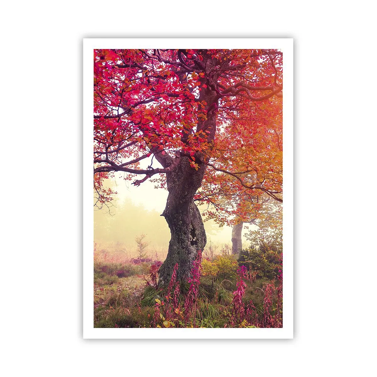 Plagát - Šialenstvo rozkvetu - 70x100 cm