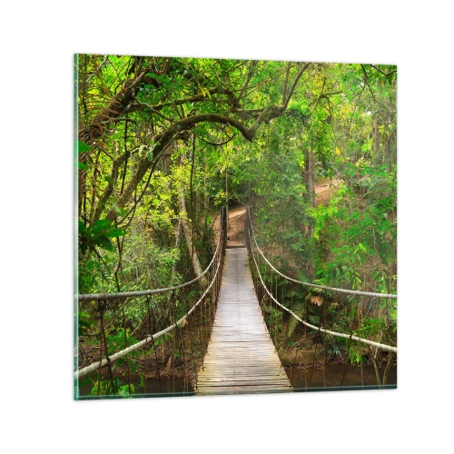 Obraz na skle - Lebo na záhrade rastú popínavé rastliny - 70x70 cm
