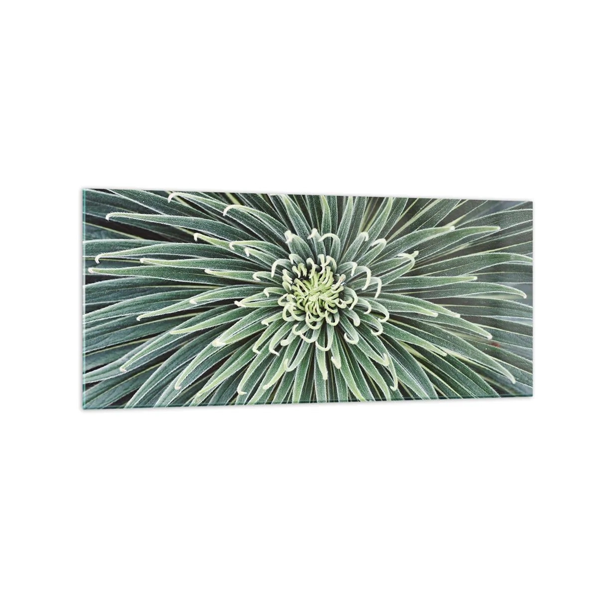 Obraz na skle - Zrodenie hviezdy - 120x50 cm