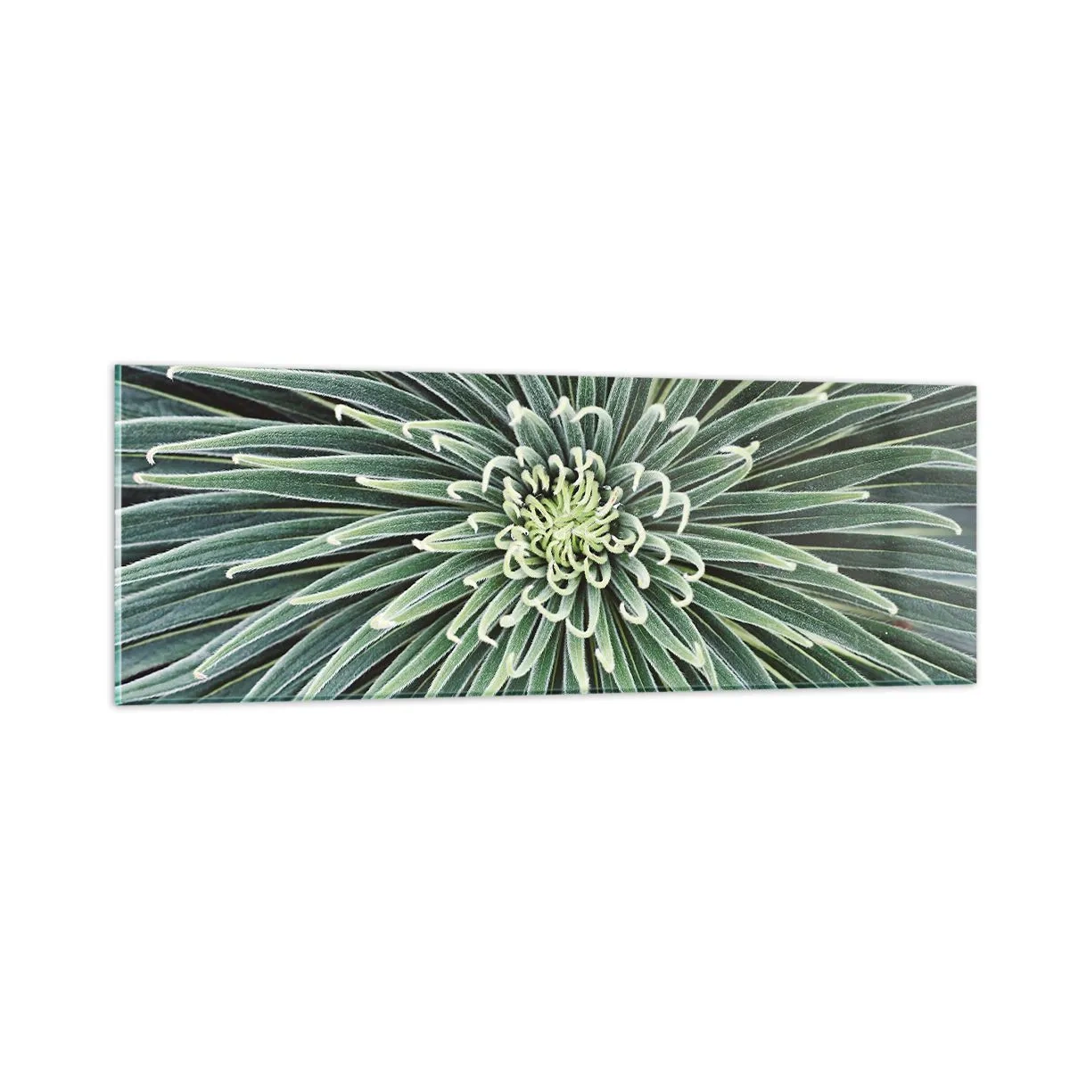 Obraz na skle - Zrodenie hviezdy - 90x30 cm