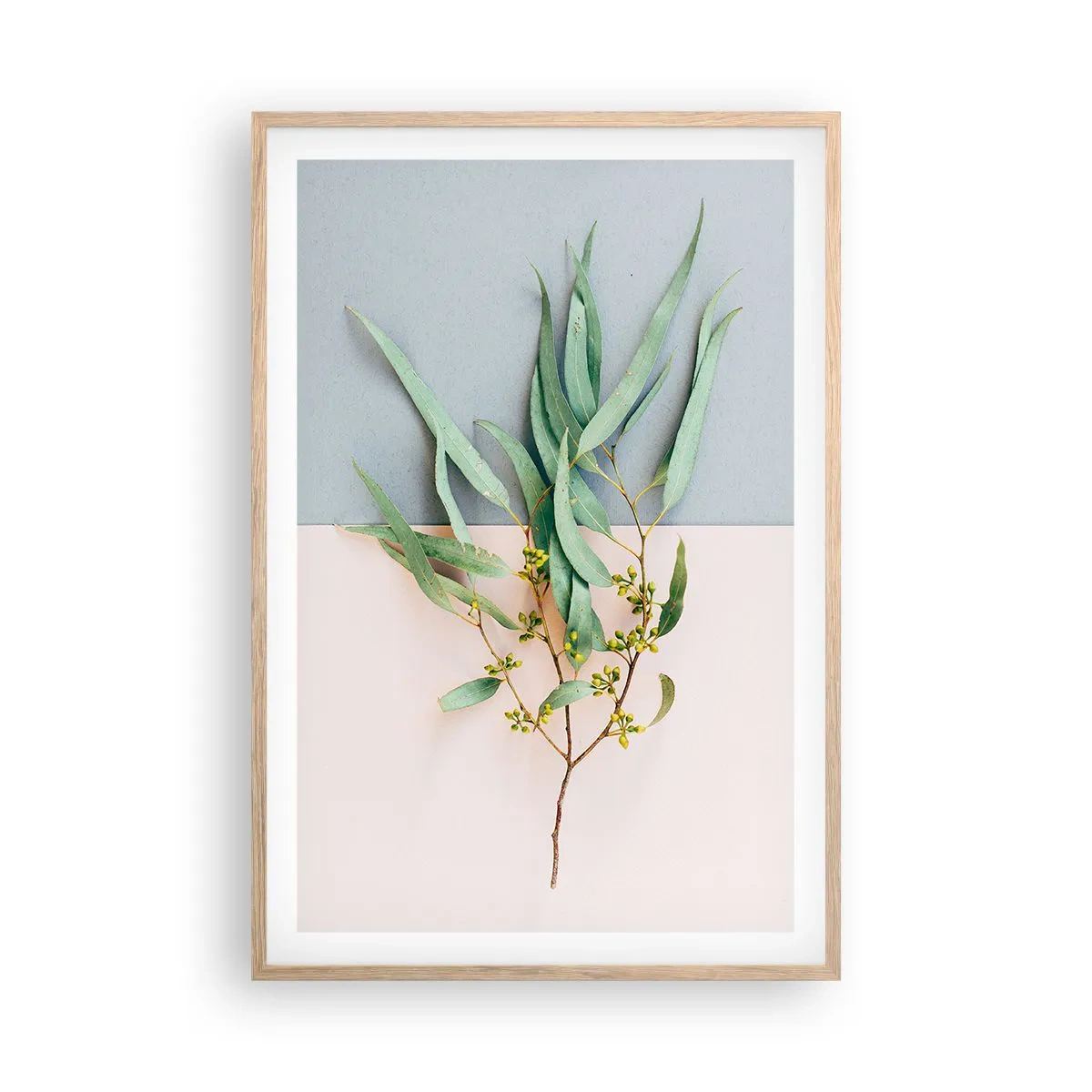 Plagát v ráme zo svetlého duba - Pastelová jemnosť - 61x91 cm