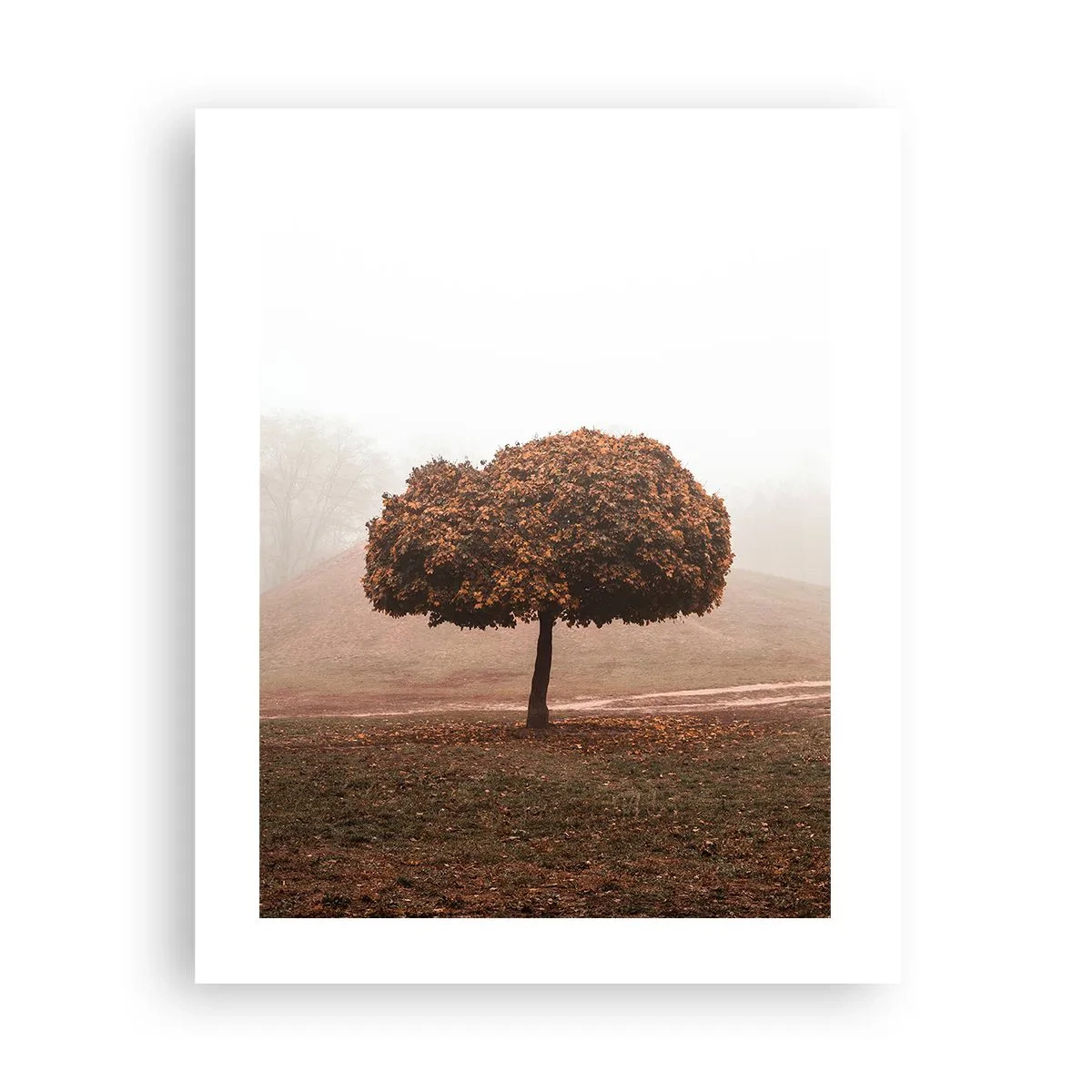 Plagát - Po rušnom lete - 40x50 cm