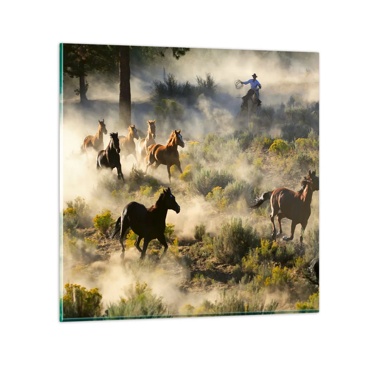 Obraz na skle - Rivalita - sloboda alebo mužská sila? - 60x60 cm