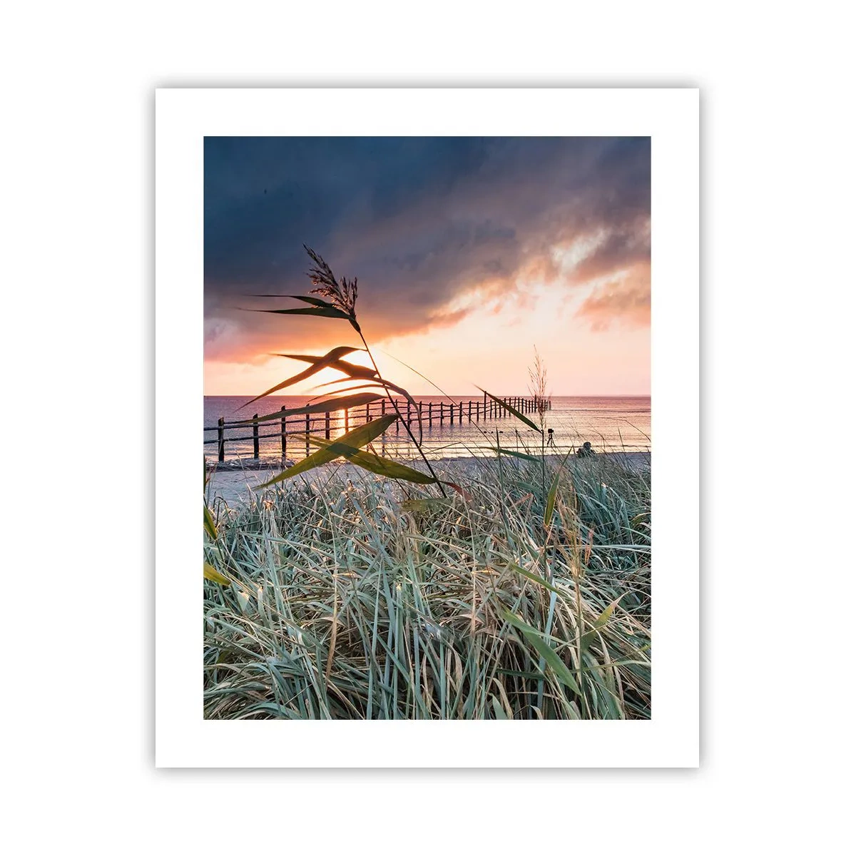 Plagát - Neodviate vetrom - 40x50 cm