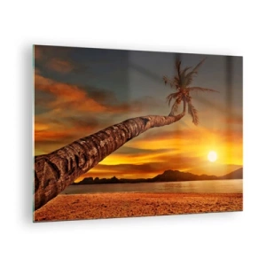 Obraz na skle - Palma na tropickej pláži pri západe slnka - 70x50cm - Exotické prázdniny, karibské dobrodružstvo - Moderná nástenná dekorácia do obývacej izby a spálne ARTTOR