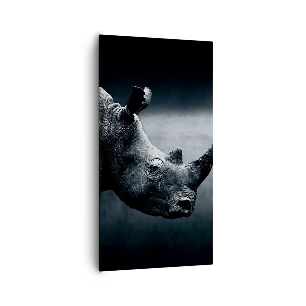 Obraz na plátne - Pravý profil - 65x120 cm