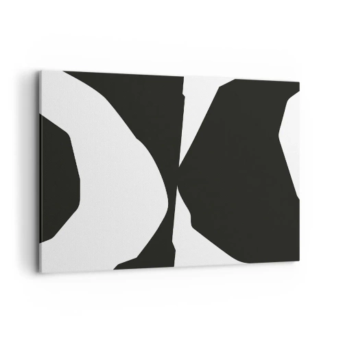 Obraz na plátne - Positive-negative - 100x70 cm