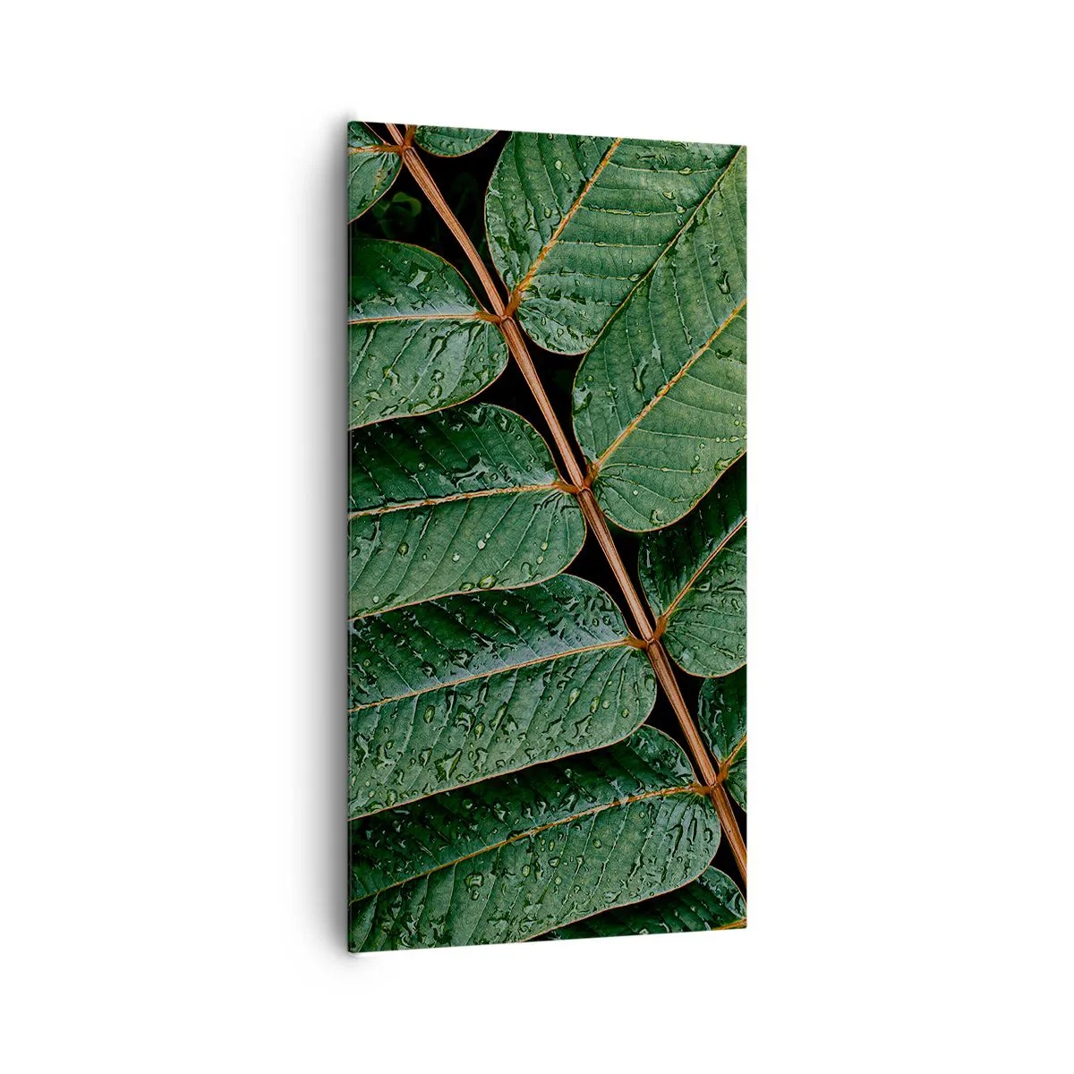 Obraz na plátne - V zelenom rytme - 65x120 cm