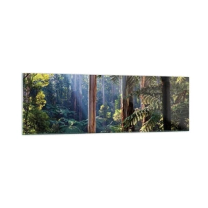 Obraz na skle - Poviedka lesa - 160x50 cm