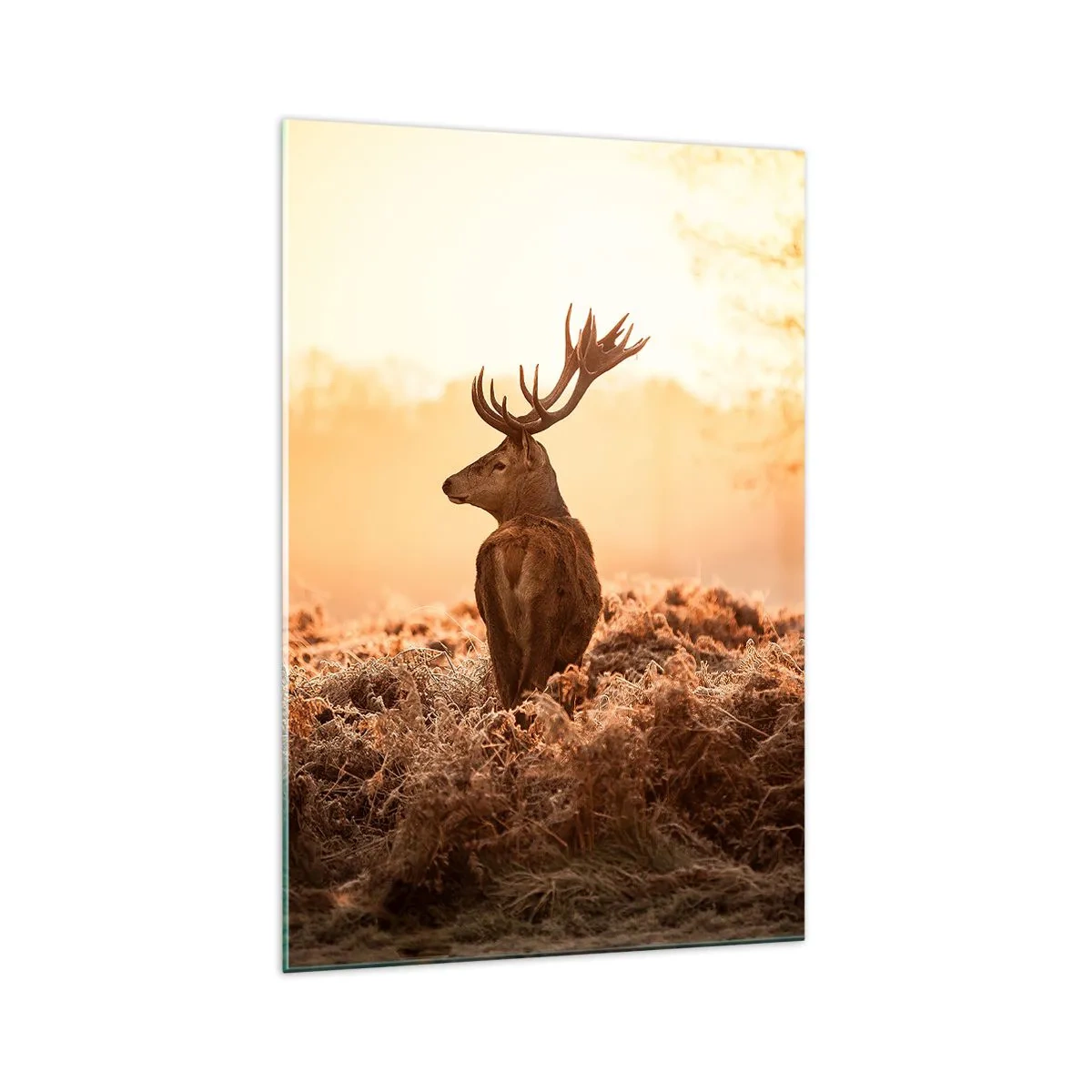 Obraz na skle - Pán na panstve - 70x100 cm