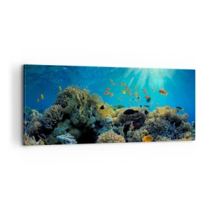 Obraz na plátne - Podvodné poklady - 100x40 cm