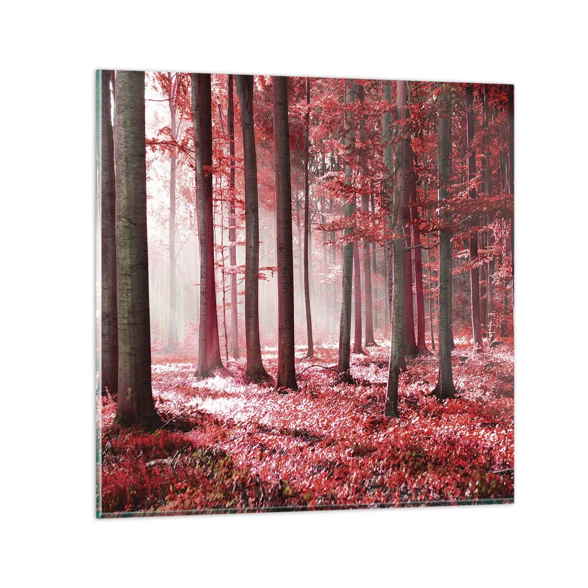 Obraz na skle - Červená je rovnako krásna - 40x40 cm