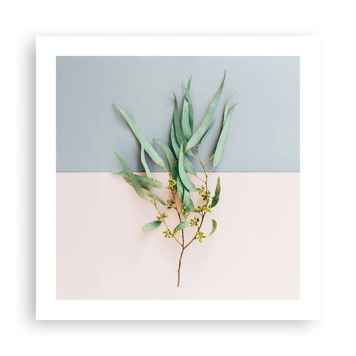 Plagát - Pastelová jemnosť - 50x50 cm