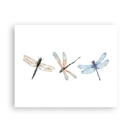 Plagát - Beztiažové vážky - 50x40 cm