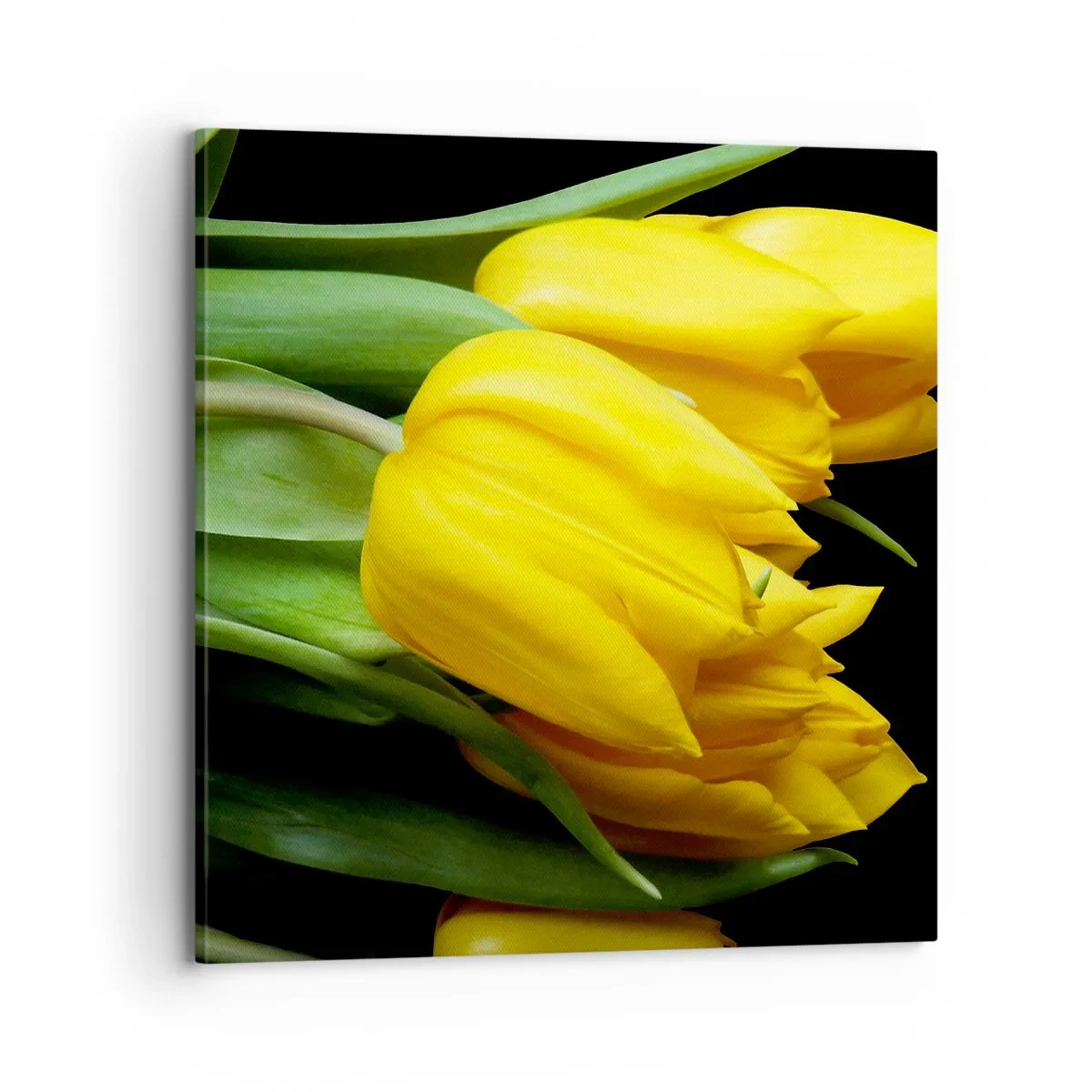 Obraz na plátne - Vznikli z čistého slnka - 70x70 cm