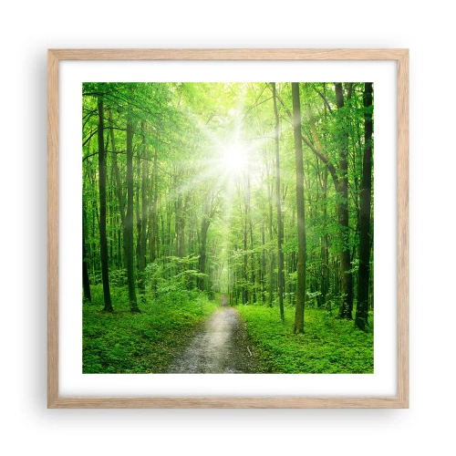 Plagát v ráme zo svetlého duba - Zelená katedrála - 50x50 cm