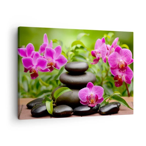 Obraz na plátne - Ružové orchidey s kameňmi na zelenom pozadí - 70x50cm - Pyramída pokoja - Moderná nástenná dekorácia do obývacej izby a spálne ARTTOR