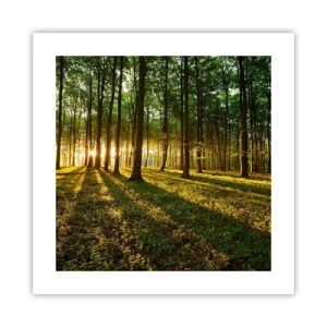 Plagát - Fotografie všetkých jarí - 40x40 cm