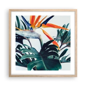 Plagát v ráme zo svetlého duba - Vtáker - 50x50 cm