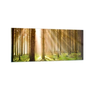 Obraz na skle - Čoskoro sa objavia elfovia - 100x40 cm