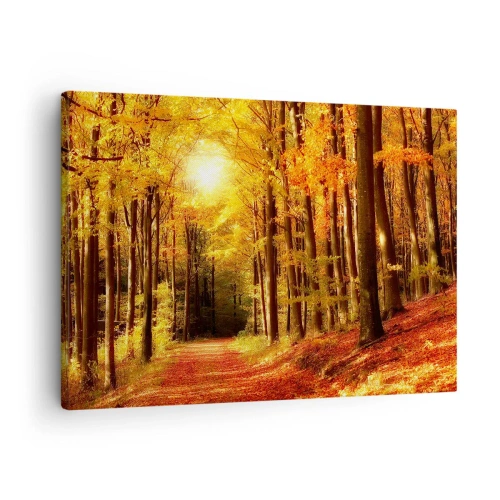 Obraz na plátne - Jesenný les so slnečnými lúčmi presvitajúcimi cez stromy - 70x50cm - Zlatá jeseň na lesnej ceste - Moderná nástenná dekorácia do obývacej izby a spálne ARTTOR