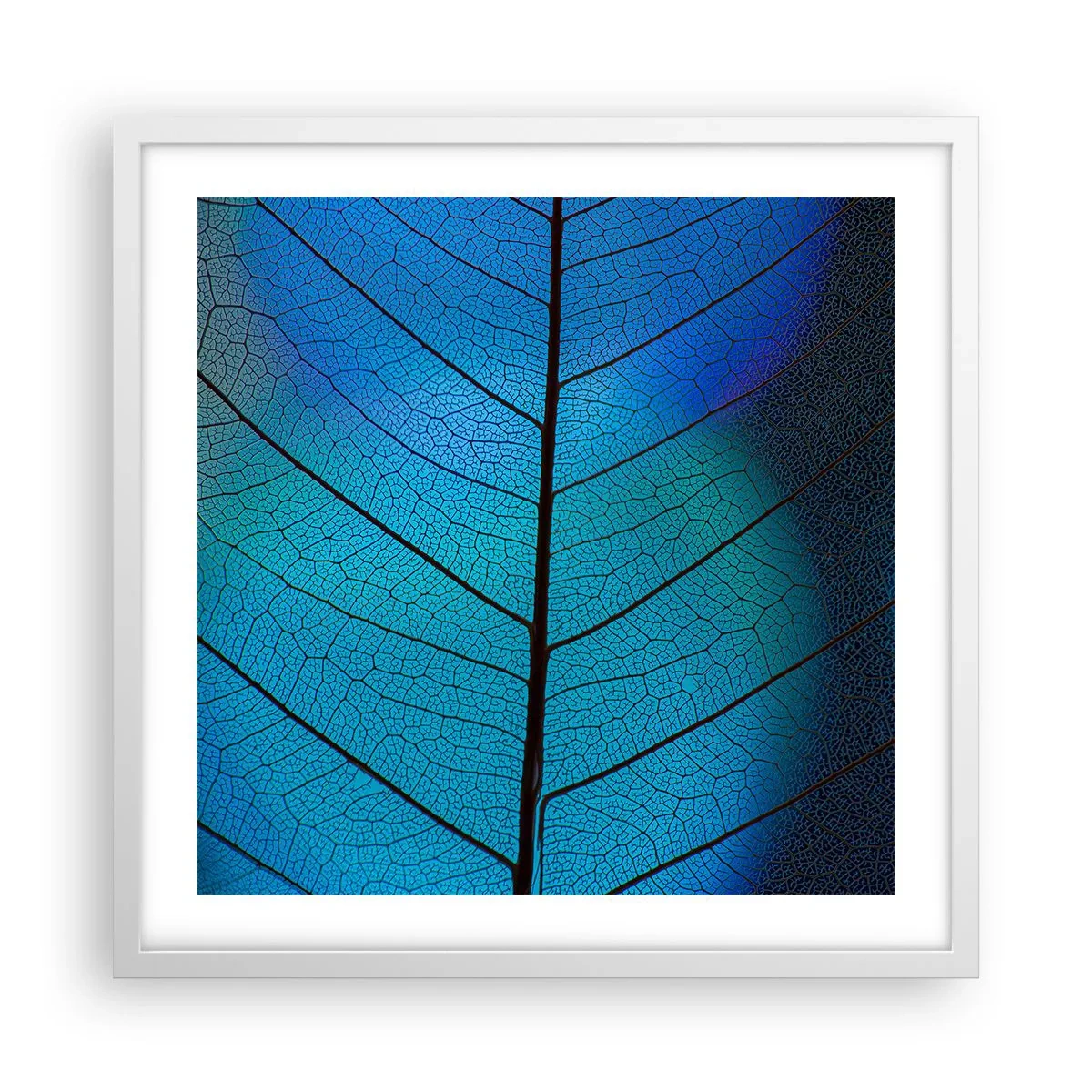 Plagát v bielom ráme - Až do detailov - 50x50 cm