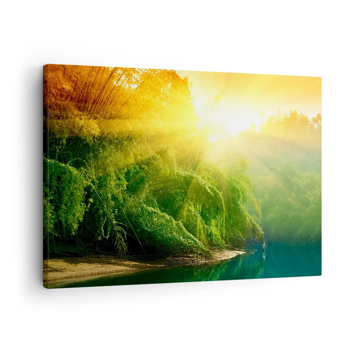 Obraz na plátne - Zelený les pri rieke, osvetlený lúčmi vychádzajúceho slnka - 70x50cm - Utopiť sa v slnku a v tieni - Moderná nástenná dekorácia do obývacej izby a spálne ARTTOR