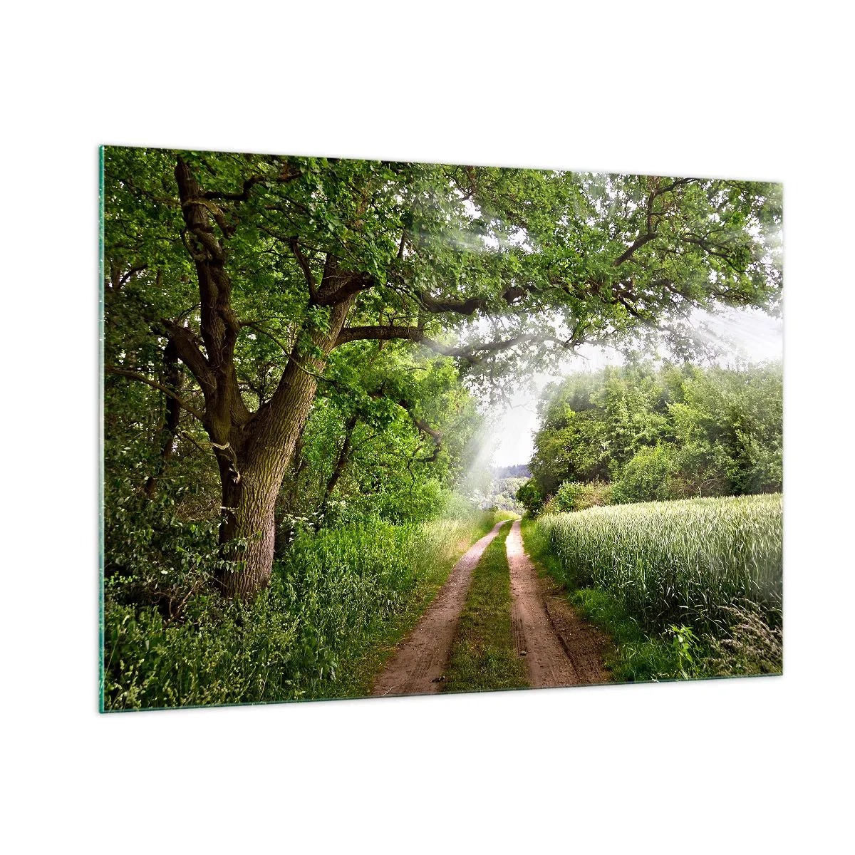 Obraz na skle - Et in Arcadia ego - 100x70 cm