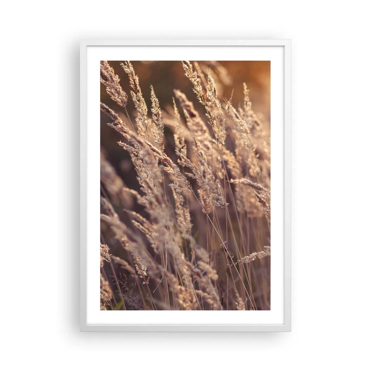 Plagát v bielom ráme - Pripravení privítať jeseň - 50x70 cm