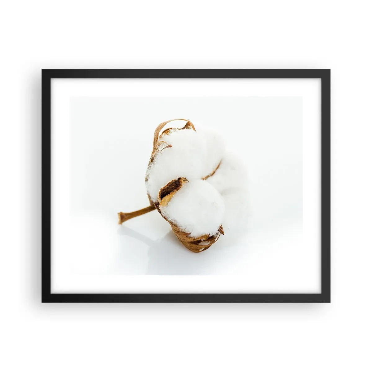 Plagát v čiernom ráme - Mäkká od prírody - 50x40 cm