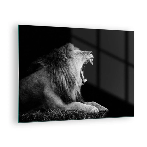 Obraz na skle - Čiernobiely portrét leva revujúceho proti tieňu - 70x50cm - Bez najmenších pochýb - Moderná nástenná dekorácia do obývacej izby a spálne ARTTOR