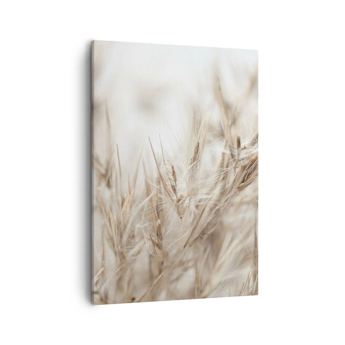 Obraz na plátne - Lúka a vietor - 50x70 cm