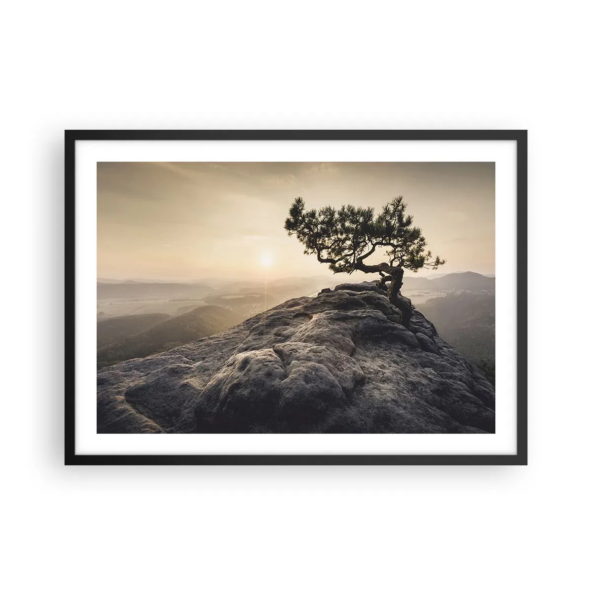 Plagát v čiernom ráme - Život vždy víťazí - 70x50 cm