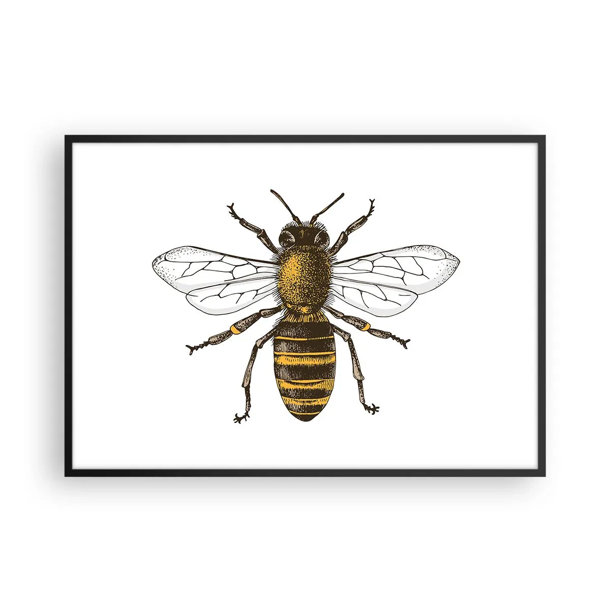 Plagát v čiernom ráme - Krásna a dobrá - 100x70 cm