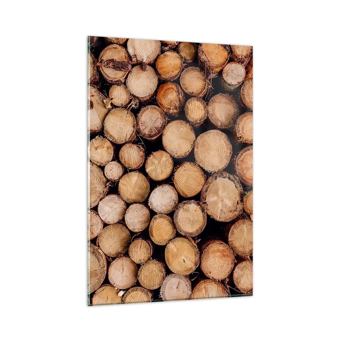 Obraz na skle - Nový začiatok - 80x120 cm