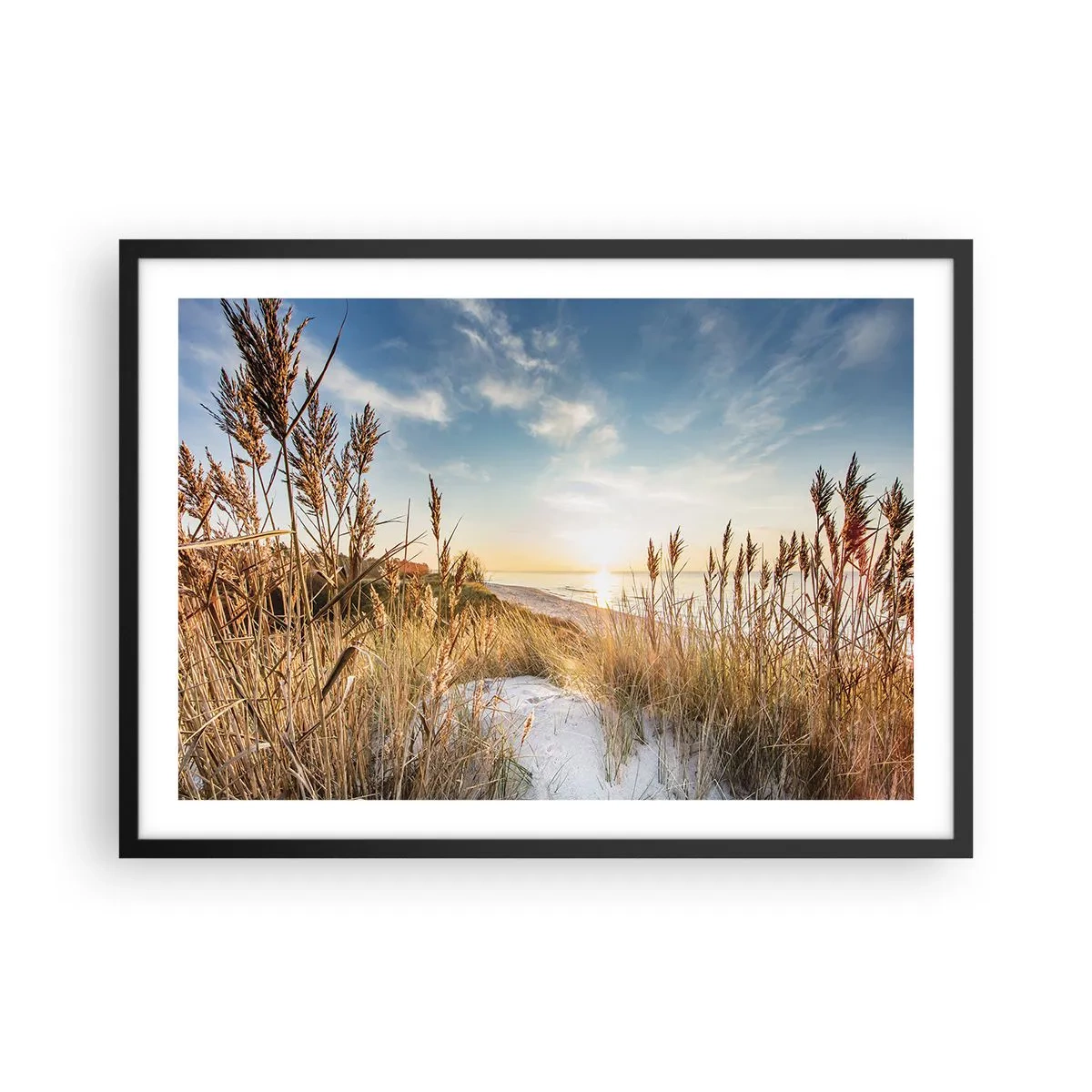 Plagát v čiernom ráme - Severná pláž - 70x50 cm