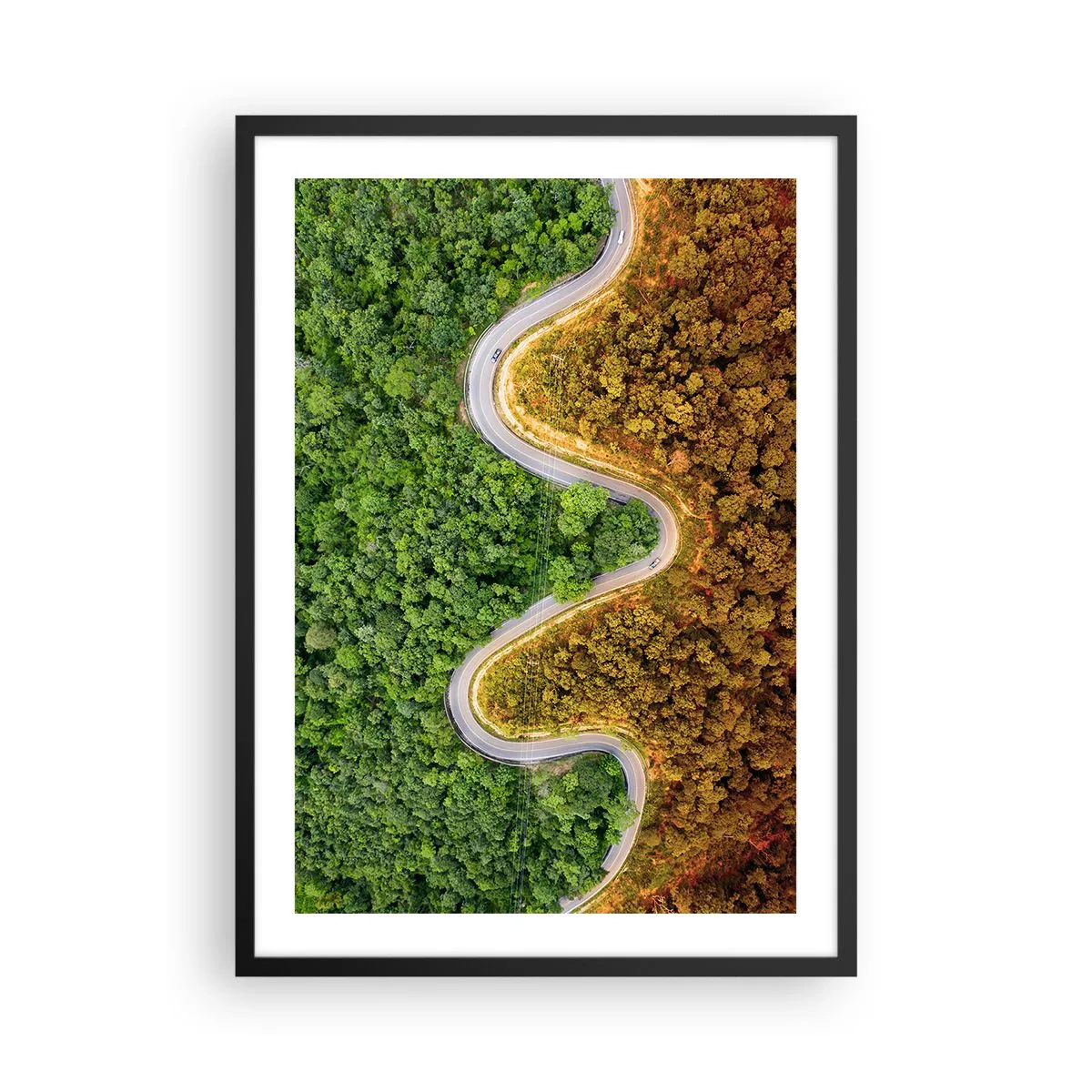 Plagát v čiernom ráme - Cesta sa kľukatí lesom rozdeleným na zelenú a jesennú časť - 50x70cm - Hranice a prelomy - Moderná nástenná dekorácia do obývacej izby a spálne ARTTOR
