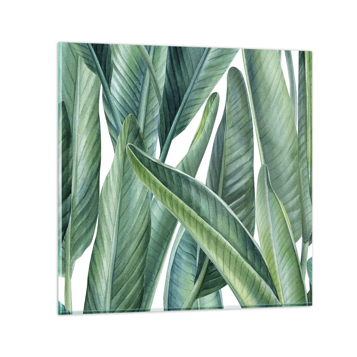 Obraz na skle - Proste zelená - 70x70 cm