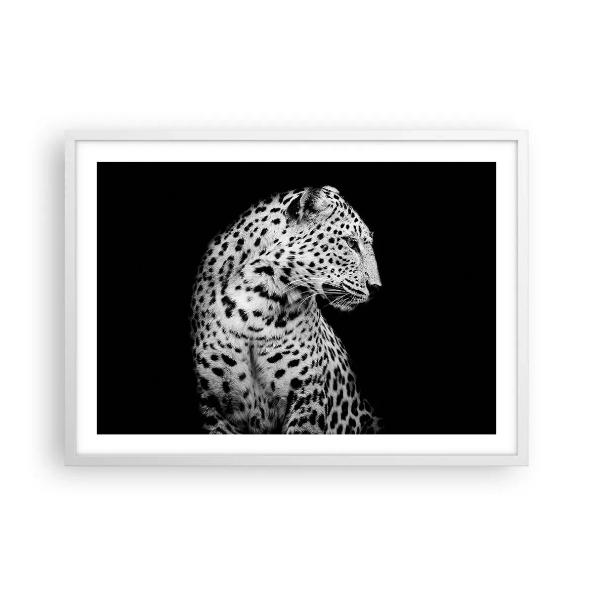 Plagát v bielom ráme - Pravý profil perfektný! - 70x50 cm