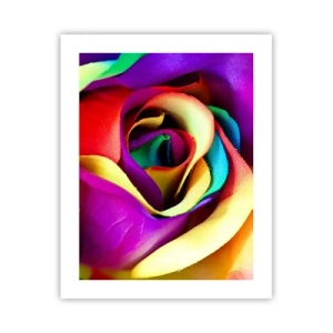 Plagát - To nie je možné - 40x50 cm