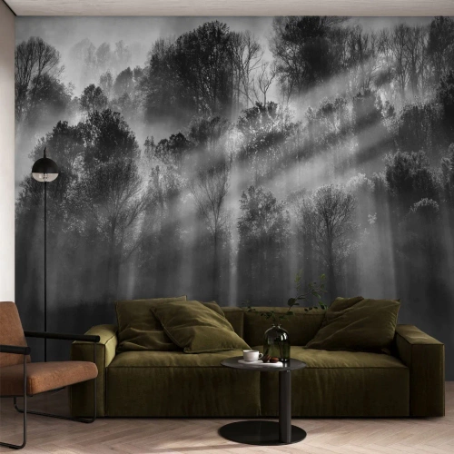 Fototapeta Premium Sand - V lúčoch svetla - Krajina, les, Čierna a biela - 100x70 cm