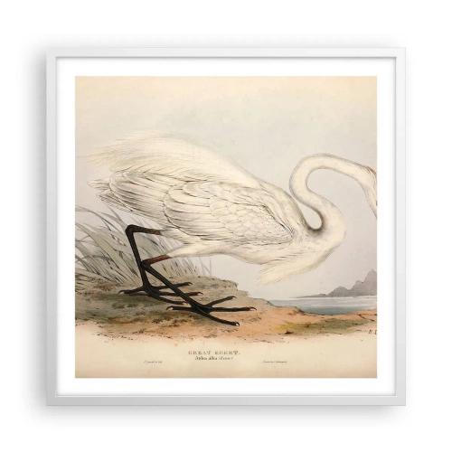 Plagát v bielom ráme - Pani rákosín - 60x60 cm