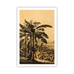 Plagát - V koloniálnom štýle - 61x91 cm