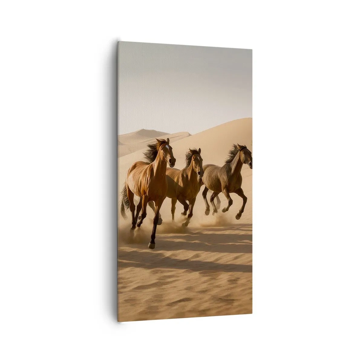 Obraz na plátne - Voľné ako vietor - 65x120 cm