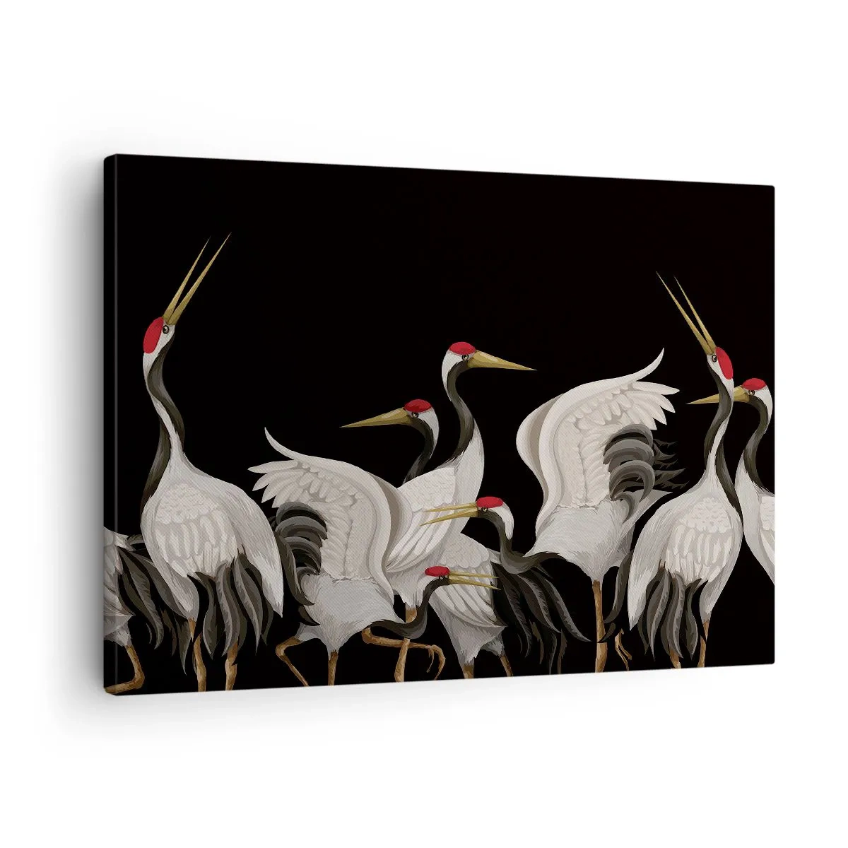 Obraz na plátne - Biele žeriavy s červenými akcentmi na čiernom pozadí - 70x50cm - Vtáčie záležitosti - Moderná nástenná dekorácia do obývacej izby a spálne ARTTOR