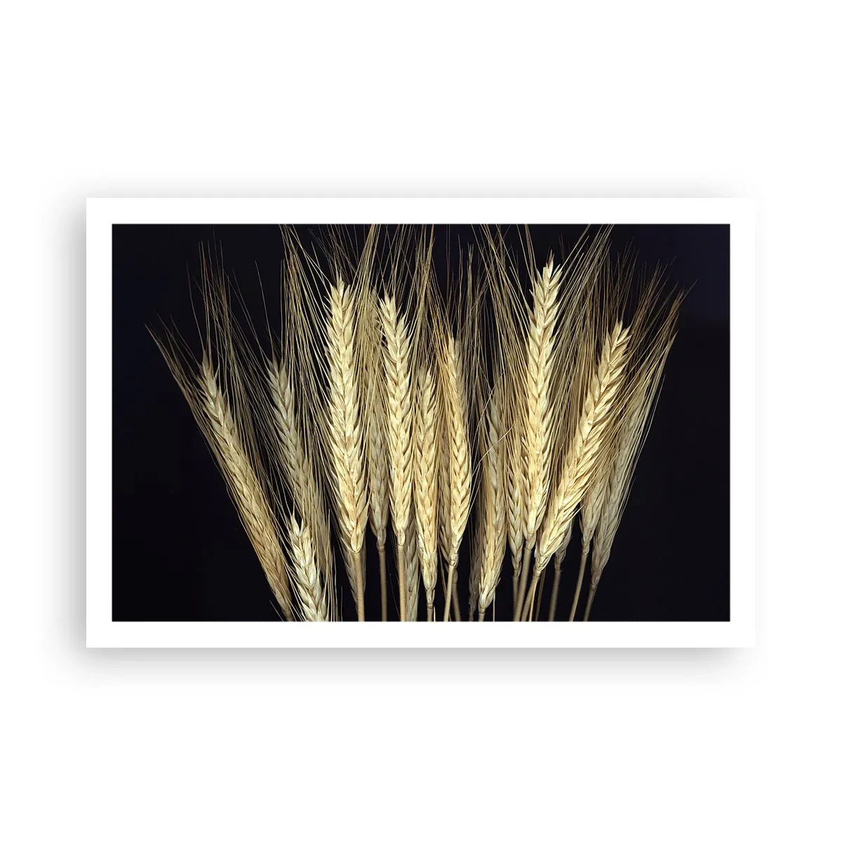 Plagát - Rustikálna mágia - 91x61 cm