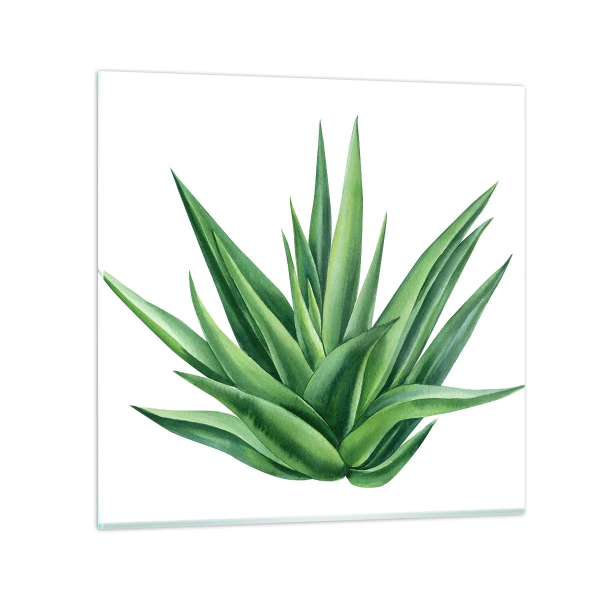 Obraz na skle - Zelená – sila – život - 50x50 cm